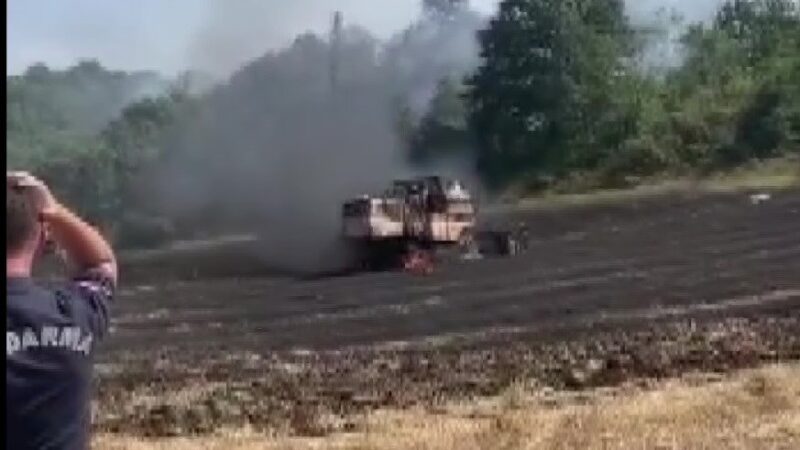 Bursa’da anız yakan bir çiftçiye ceza kesildi.