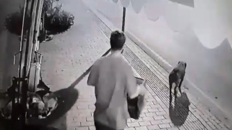 Bursa’da süpermarket hırsızları kameralara yakalandı Bursa'da süper marketten çadır ve şişme yatak, bir dükkândan da