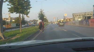 Görüntüler Bursa’dan… Trafikte dört nala