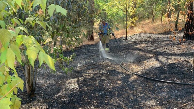 Bursa’da panik anları Bursa’nın Mustafakemalpaşa ilçesinde çamlık ormanında çıkan yangın, çevredekilere korku dolu