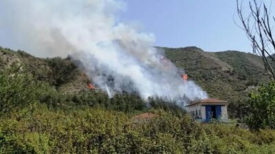 Karabük’te aynı köyde 2 gün sonra yeniden orman yangını