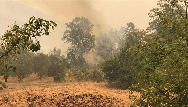 Orman Yangınlarda son durum! 5 ilde alevlerle mücadele Orman Yangınlarda son durum! 5 ilde alevlerle mücadele