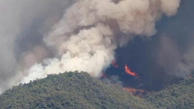 Bakan Koca’dan Mersin’deki yangınla ilişkili açıklama!