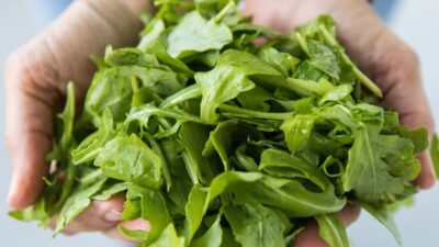 Akciğer sağlığı için her öğüne eklemelisiniz!