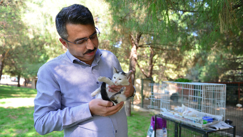 Yıldırım’da can dostları emin ellerde Yıldırım’da can dostları emin ellerde