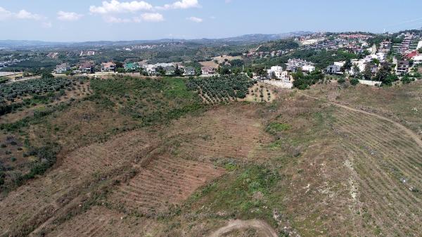 Bursa’da 3 yıl önce yanmıştı! İşte o bölgedeki son durum Bursa’da 3 yıl önce yanmıştı! İşte o bölgedeki son durum