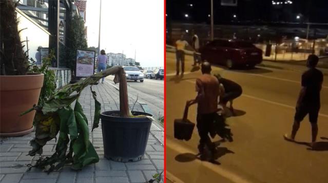 Bursa’da iki grup birbirine girdi Bursa’da iki grup birbirine girdi