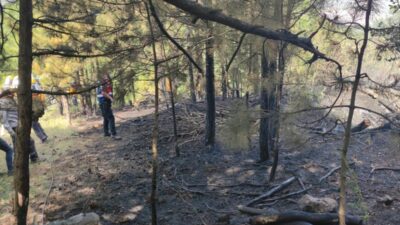 Bursa’da ormanlık alanda yangın