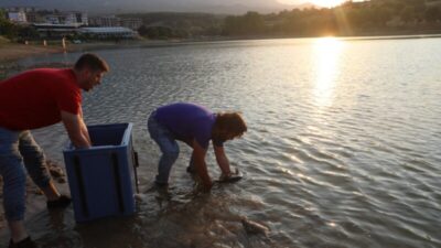 Yenice Göleti’ne 190 kilogram balık salındı
