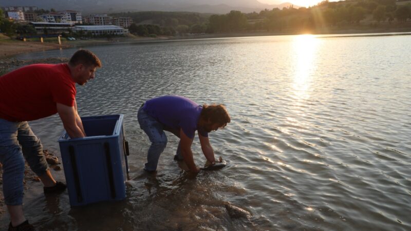 Yenice Göleti’ne 190 kilogram balık salındı