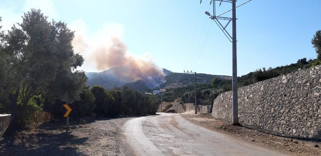 Bursa’da iki orman yangını birden Bursa’da iki orman yangını birden