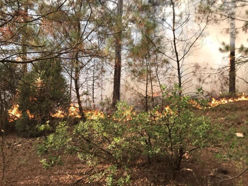 Bursa’da orman yangını! Havadan ve karadan müdahale… Bursa’da orman yangını! Havadan ve karadan müdahale…