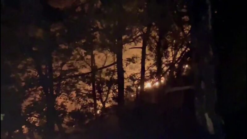 Bursa’da yıldırım düştü! Bursa’nın İznik ilçesinde yıldırım düşmesi sonucu ormanlık alanda yangın çıktı.