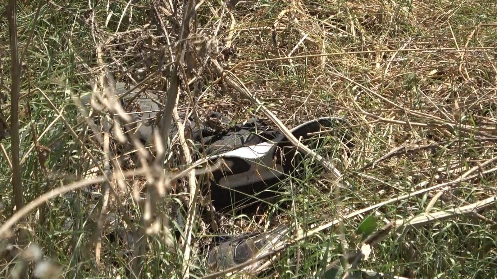 Bursa’da erkek cesedi bulundu! Bursa’da erkek cesedi bulundu!