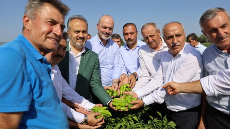 Bursa Büyükşehir Belediyesi’nin kırsalda kalkınmayı sağlamak amacıyla Tarım AŞ marifetiyle