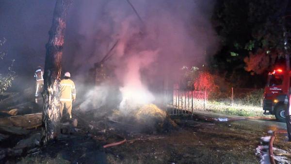 Gece yarısı büyük panik! Bursa’da eş zamanlı yangınlar Gece yarısı büyük panik! Bursa’da eş zamanlı yangınlar