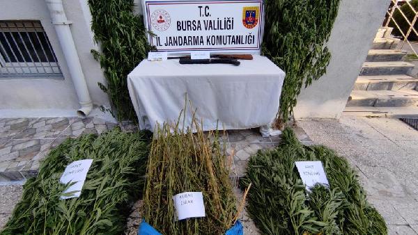 Bursa’da uyuşturucu operasyonu