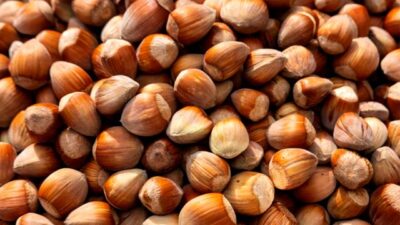 Fındık alım fiyatları belli oldu