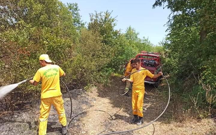 Bursa’da orman yangını paniği! Bursa’nın Mustafakemalpaşa ilçesinde iki gün üst üste aynı bölgede çıkan