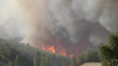 Bir ilimizde daha yangın çıktı! Valilikten açıklama