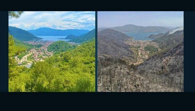 Marmaris İçmeler’in yangın sonrası hali Marmaris İçmeler’in yangın sonrası hali