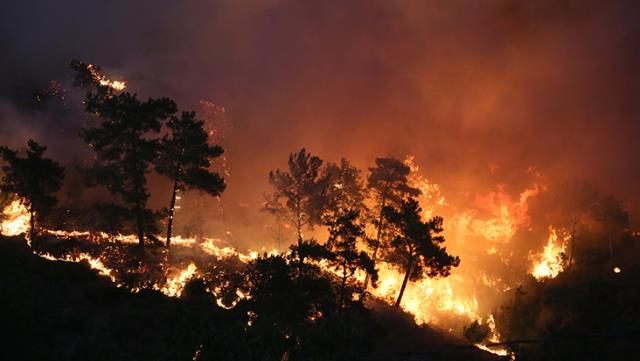 Manavgat’taki yangının anne ve babasına kızan 12 yaşındaki çocuk tarafından çıkarıldığı ortaya çıktı Manavgat’taki yangının anne ve babasına kızan 12 yaşındaki çocuk tarafından çıkarıldığı ortaya çıktı