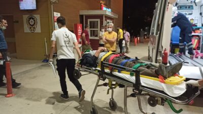 Bursa’da motosiklet domuz sürüsüne daldı