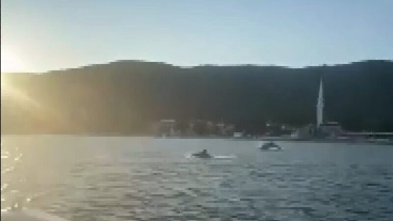 Görüntü Gemlik Körfezi’nden! Müsilajdan sonra şimdi de… Marmara Denizi'nin güney kıyılarını oluşturan Gemlik körfezi bir süre önce