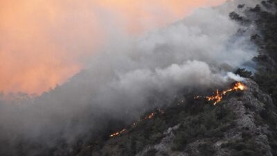Orman yangınlarında son durum! AFAD’dan açıklama