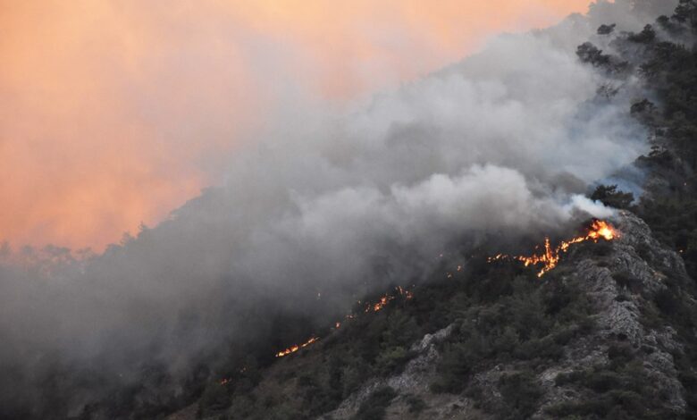 Orman yangınlarında son durum! AFAD’dan açıklama Orman yangınlarında son durum! AFAD’dan açıklama