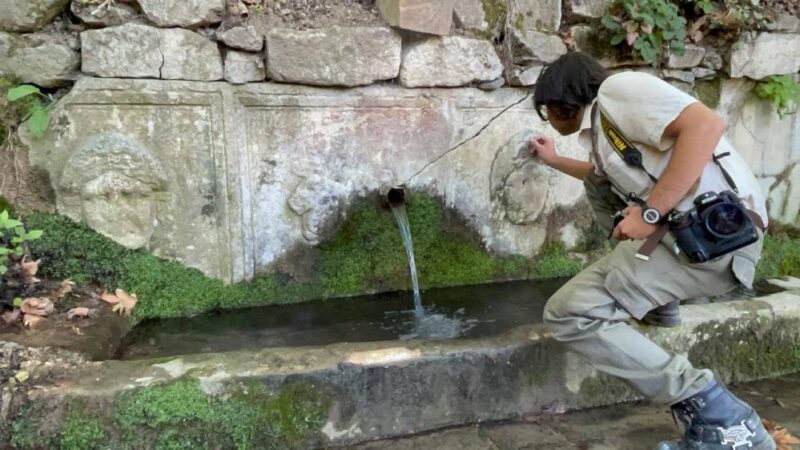 UNESCO’ya aday tarihi kent İznik’te bir ormanlık alanda lahit mezar