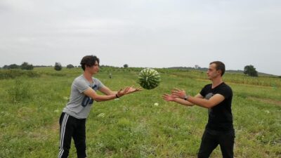 Bursa’da bu ürüne büyük talep! 35 bin TL kazanacak…