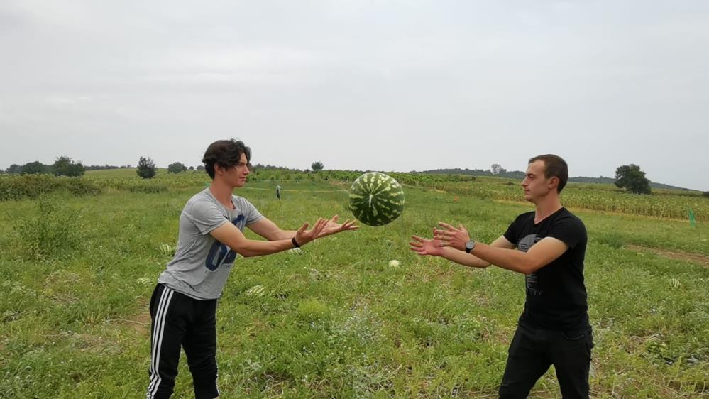 Bursa’da bu ürüne büyük talep! 35 bin TL kazanacak…