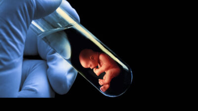 Tüp Bebek Tedavisinde Cüzdanınıza Dikkat