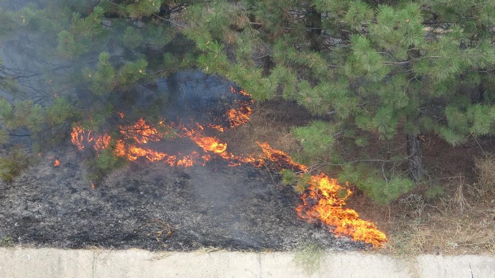 Bursa otobanında korkutan yangın! Bursa otobanında korkutan yangın!