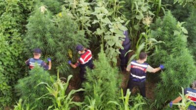 Bursa’da zehir tacirlerine operasyon