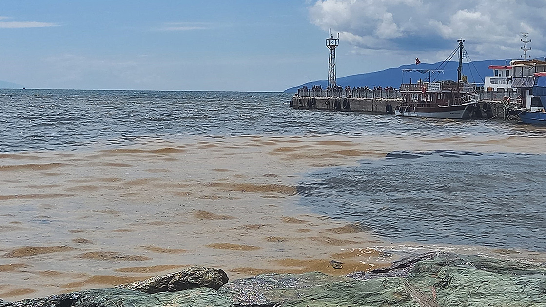 Marmara’da oksijen azalıyor! Korkutan Gemlik Körfezi açıklaması Marmara’da oksijen azalıyor! Korkutan Gemlik Körfezi açıklaması
