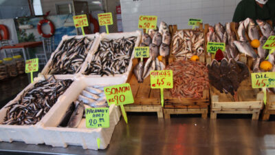 Bursalı balıkçılar umduğunu bulamadı! İşte fiyatlar…