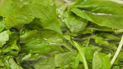 Akciğerleri temizleyen bitki ortaya çıktı!