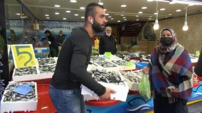 Kilo fiyatı 5 TL’ye düşen istavrit, kasayla satılıyor