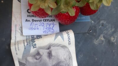 Çilek üreticisini duygulandıran not