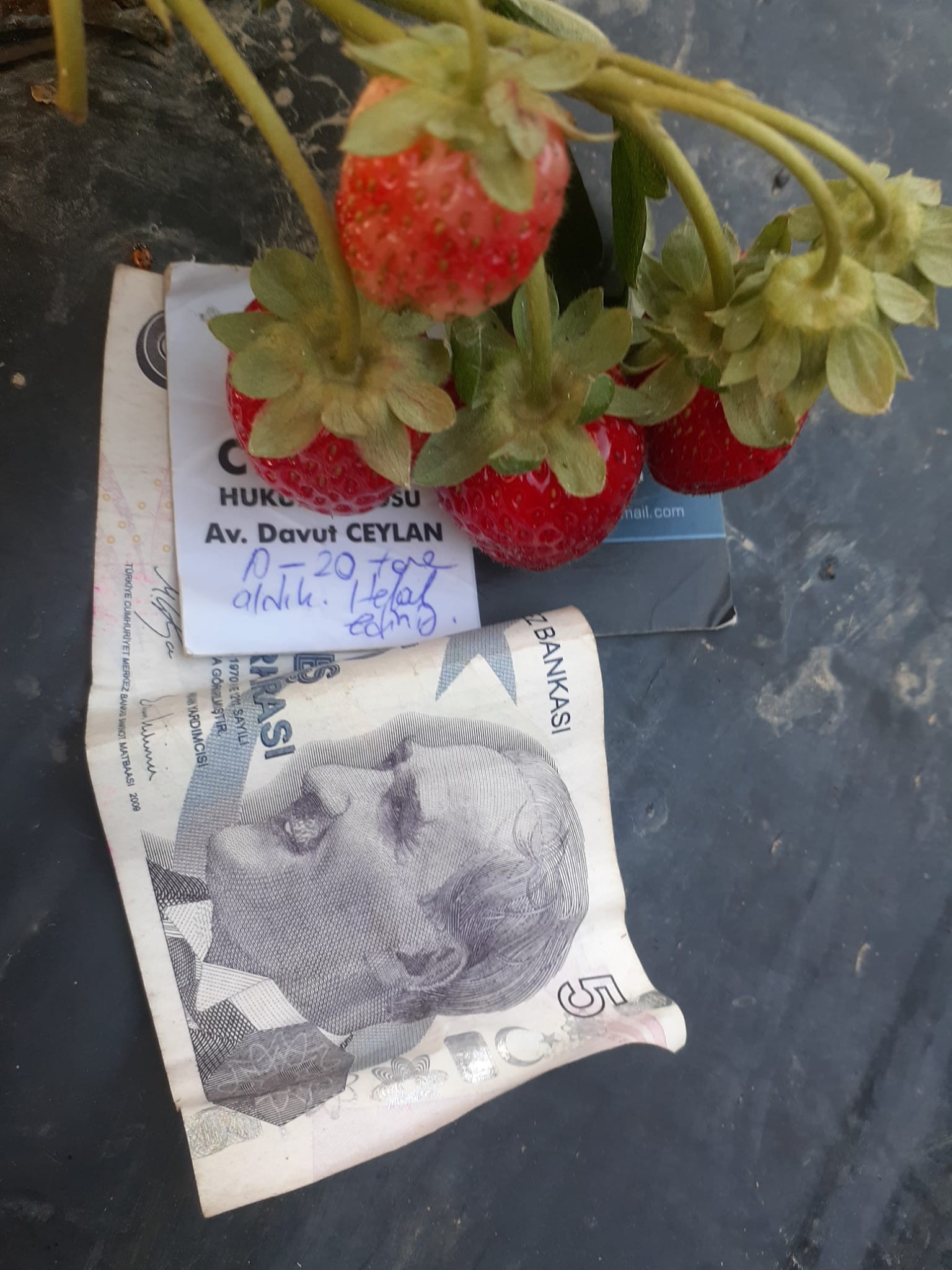 Çilek üreticisini duygulandıran not Çilek üreticisini duygulandıran not