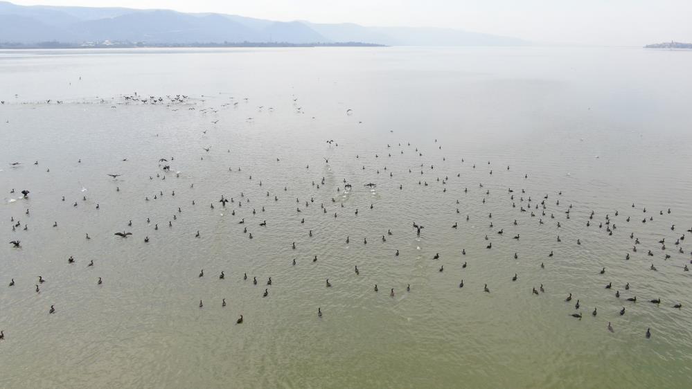 Uluabat’ta büyük tehlike! Çember daralıyor