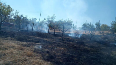 Bursa’da köyde korkutan yangın