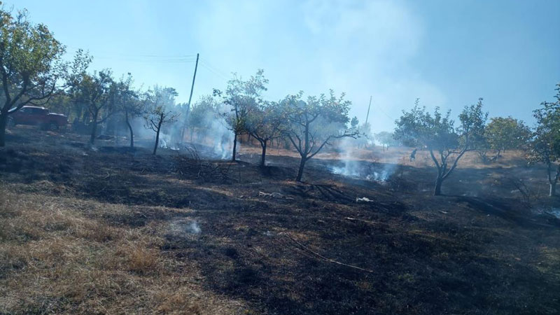 Bursa’da köyde korkutan yangın