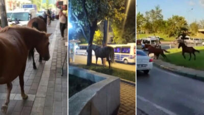Bursa’da şaşkına çeviren görüntü