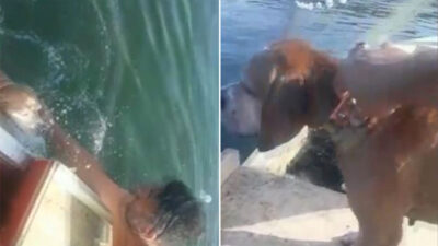 Bursa’da boğulmak üzere olan köpeği balıkçılar kurtardı