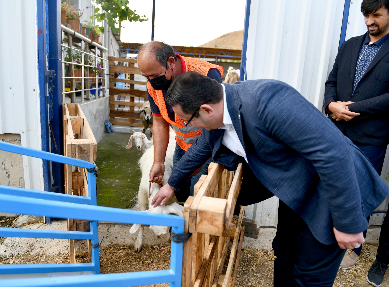 Başkan Kanar'dan, küçükbaş yetiştiricisine tam destek 1 Hayvanlar ‘Koyun Banyosu’ ile keneden arindirilacak4
