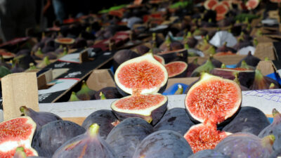 Bursa’nın siyahı görücüye çıkıyor