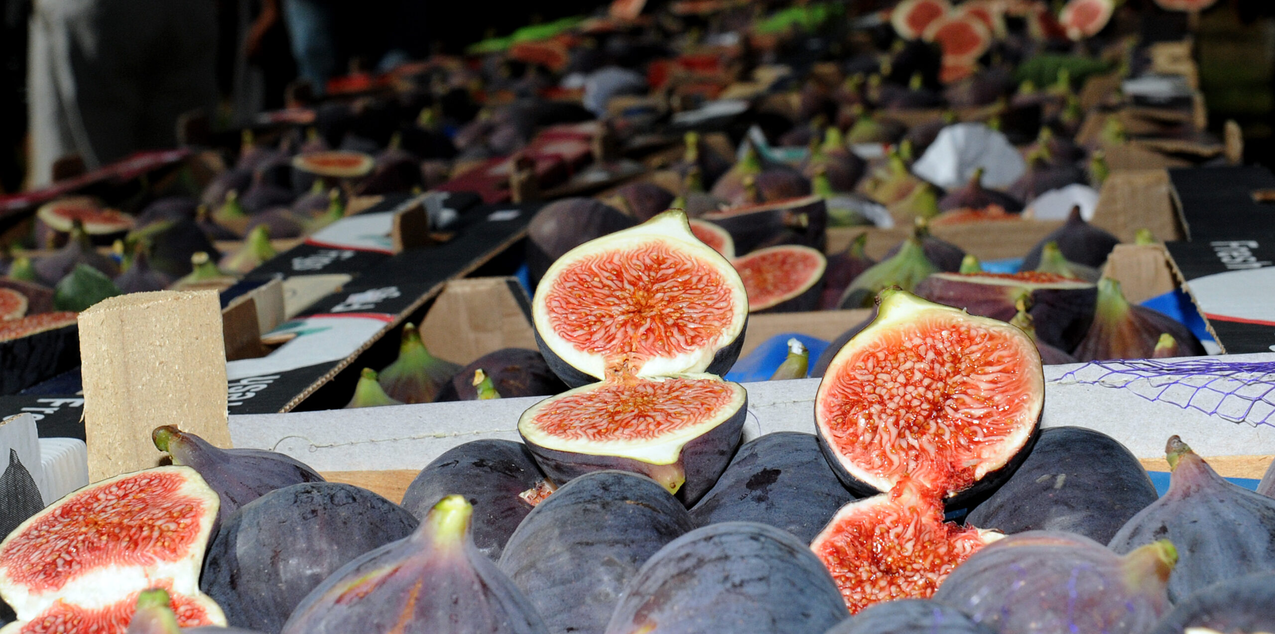 Bursa’nın siyahı görücüye çıkıyor Bursa’nın siyahı görücüye çıkıyor